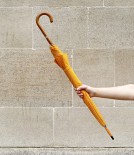 French Fit-Up Umbrella-Parasol, New Yellow