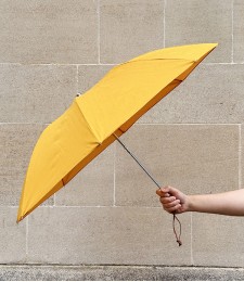 French Compact Umbrella, New Yellow