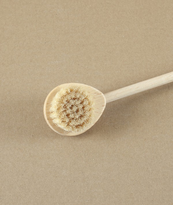 Back Scratcher Brush, Oiled Beech & Light Bristle 