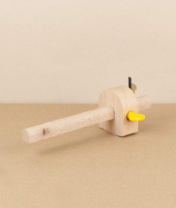 Combination marking and mortise gauge