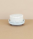 Cardamom Hand & Body Soap