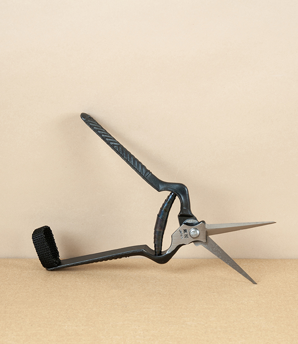 Kobayashi Forged Carbon Steel Rose & Thinning Shears