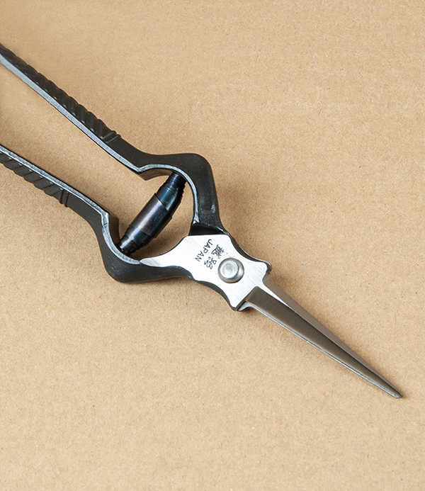 Kobayashi Forged Carbon Steel Rose & Thinning Shears