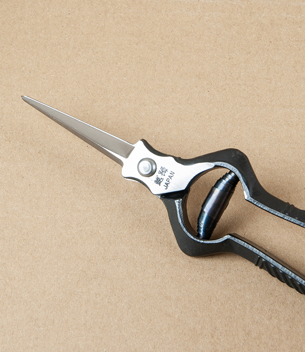 Kobayashi Forged Carbon Steel Rose & Thinning Shears