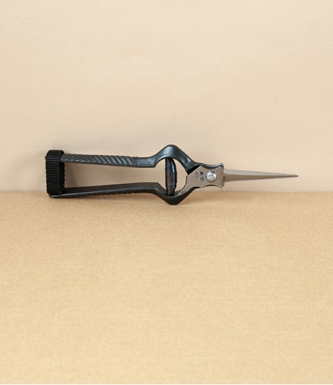 Kobayashi Forged Carbon Steel Rose & Thinning Shears