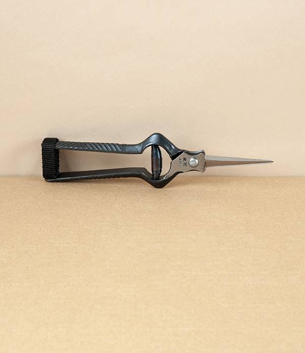 Kobayashi Forged Carbon Steel Rose & Thinning Shears