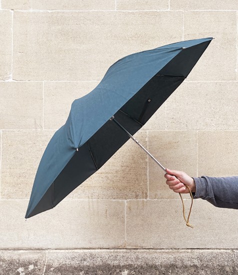 French Compact Umbrella, Canard