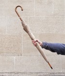 French Fit-Up Umbrella-Parasol, Natural