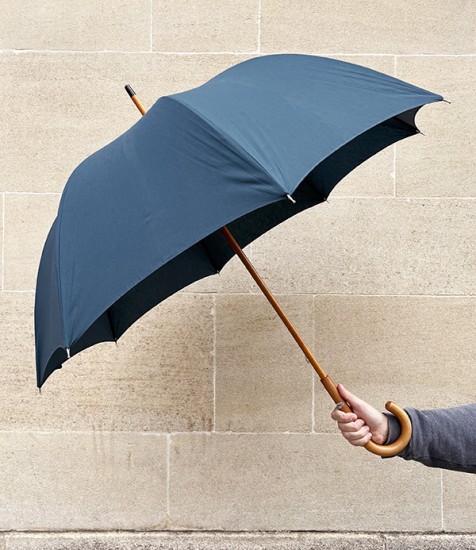 French Fit-Up Umbrella-Parasol, Canard