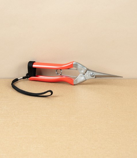 Japanese Garden Snips with Easy Grip Handles & Wrist Strap