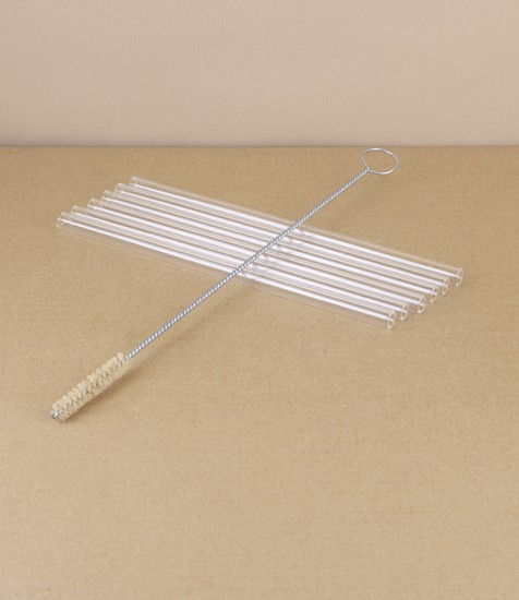 Glass Straws, Set of 6 with Horsehair Brush