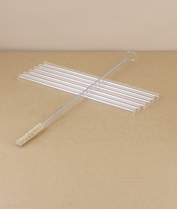Glass Straws, Set of 6 with Horsehair Brush