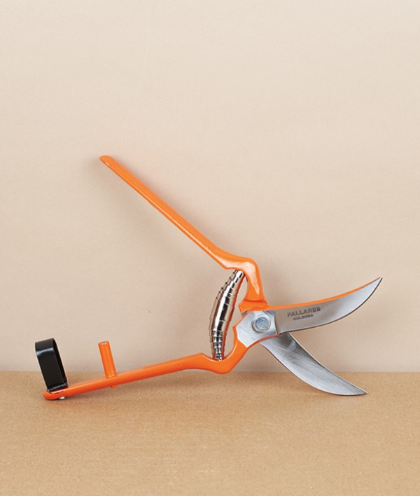 Spanish Grape Harvesting Snips, Curved Blades