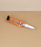 Spanish Grape Harvesting Snips, Straight Blades