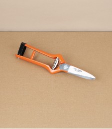 Spanish Grape Harvesting Snips, Straight Blades