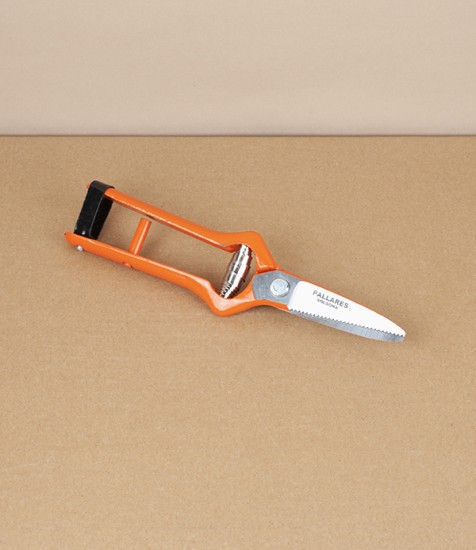 Spanish Grape Harvesting Snips, Straight Blades