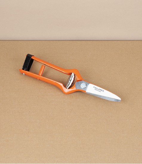 Spanish Grape Harvesting Snips, Straight Blades