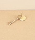 I-Hada Futagami Plate Key Ring, Hexagon