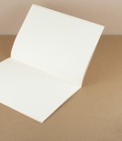 Life Vermilion Notebook, Lined (N74), A5