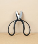 Japanese Koryu Bonsai or Garden Scissors