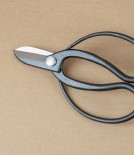Japanese Koryu Bonsai or Garden Scissors