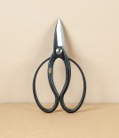 Japanese Okubo Bonsai or Garden Scissors