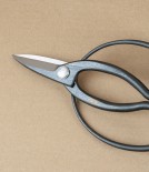 Japanese Okubo Bonsai or Garden Scissors