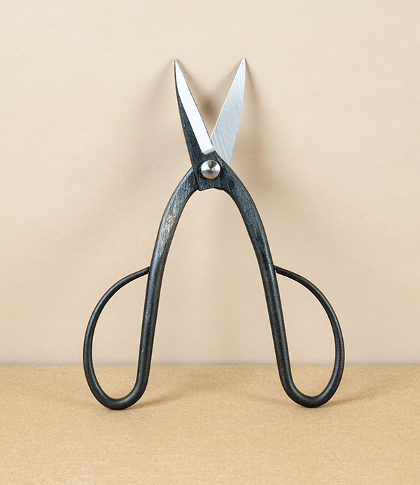 Japanese Ashinaga Bonsai or Garden Scissors