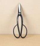 Japanese Ashinaga Bonsai or Garden Scissors