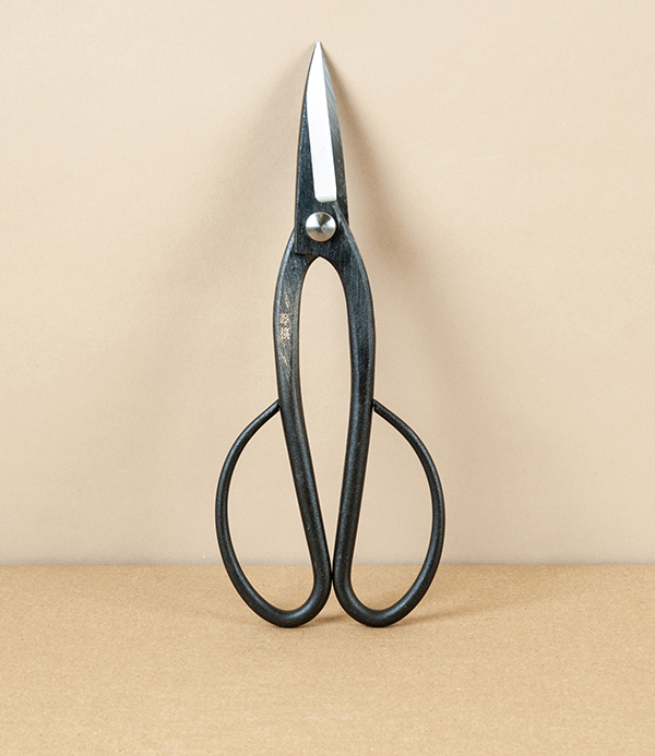 Japanese Ashinaga Bonsai or Garden Scissors