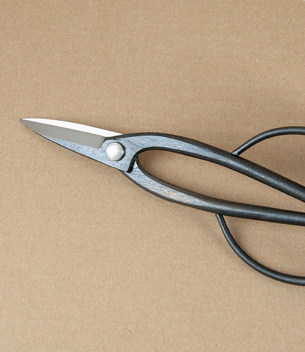 Japanese Ashinaga Bonsai or Garden Scissors