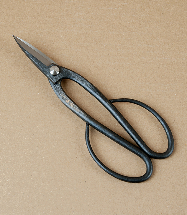 Japanese Ashinaga Bonsai or Garden Scissors
