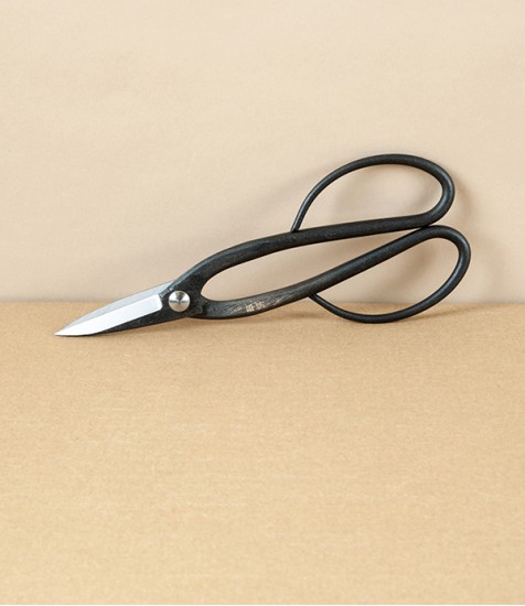 Japanese Ashinaga Bonsai or Garden Scissors