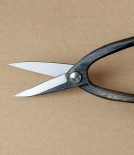Japanese Ashinaga Bonsai or Garden Scissors