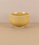 Mizu-mizu Japanese porcelain bowl, Ochre