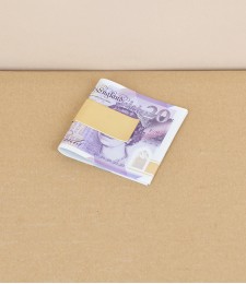 English polished brass money clip