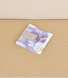 English brushed stainless steel money clip