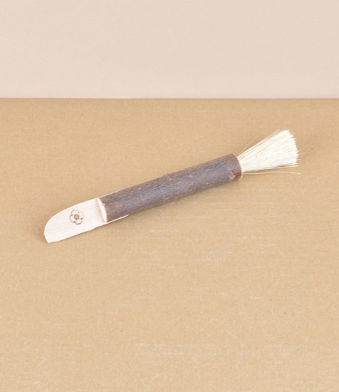 Mushroom knife, willow, birch & tampico 