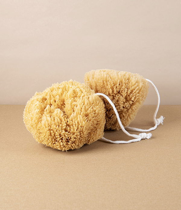 Sustainably sourced natural bath sponge