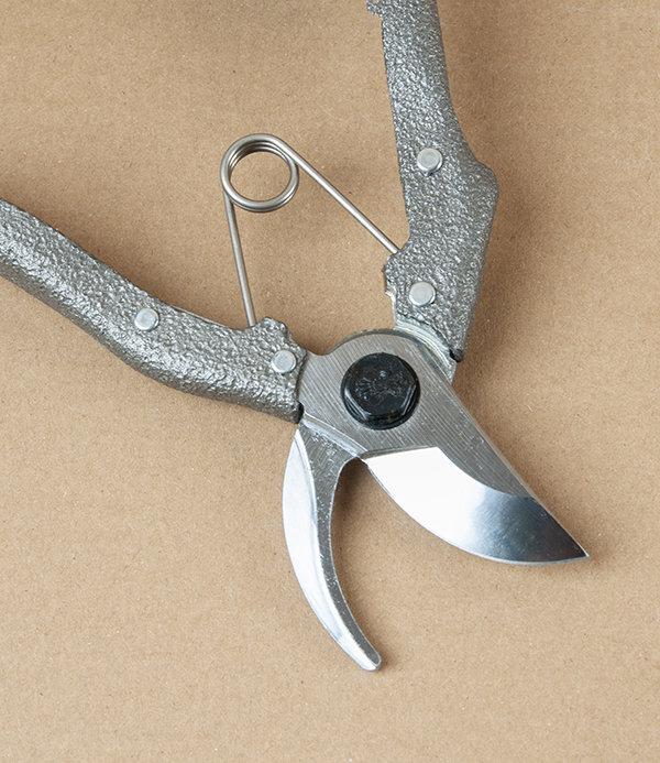 Nishigaki Professional Pruning Shears or Secateurs, Small