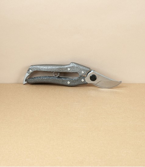 Nishigaki Professional Pruning Shears or Secateurs, Standard