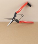 Niwaki Carbon Steel Garden Snips
