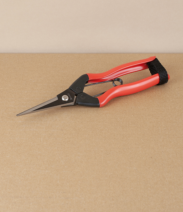 Niwaki Carbon Steel Garden Snips