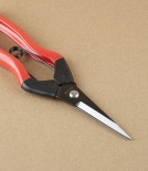 Niwaki Carbon Steel Garden Snips