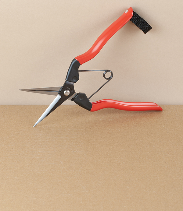Niwaki Carbon Steel Garden Snips