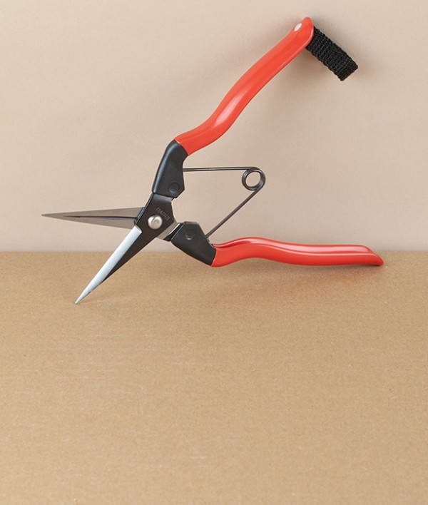 Niwaki Carbon Steel Garden Snips