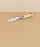 Nontron Wine Key & Pocket Knife Nº38
