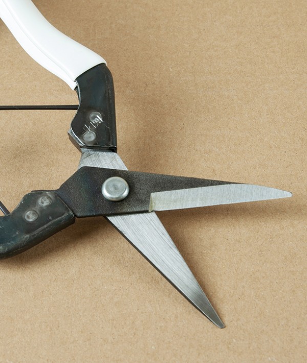 Okatsune Flower & Cuttings Snips, No.304