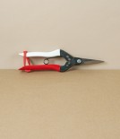 Okatsune Flower & Cuttings Snips, No.304