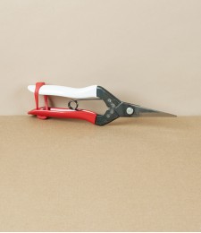 Okatsune Flower & Cuttings Snips, No.304